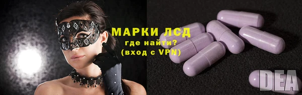амф Аркадак