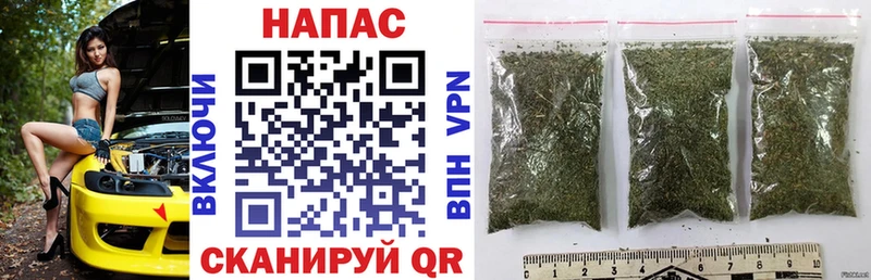 Марихуана OG Kush Купить Сенгилей